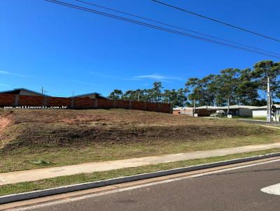 Terreno Comercial para Venda, em Presidente Prudente, bairro Vida Nova Pacaembu I