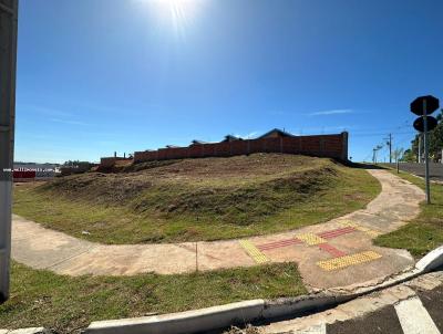 Terreno Comercial para Venda, em Presidente Prudente, bairro Vida Nova Pacaembu I