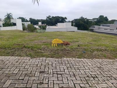 imagem-miniatura
