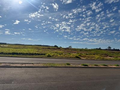 Terreno para Venda, em , bairro 