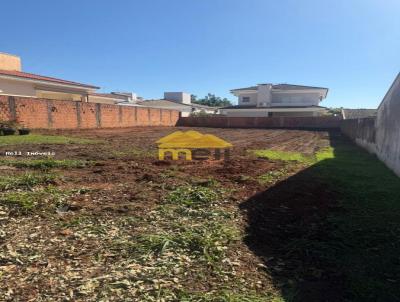 imagem-miniatura